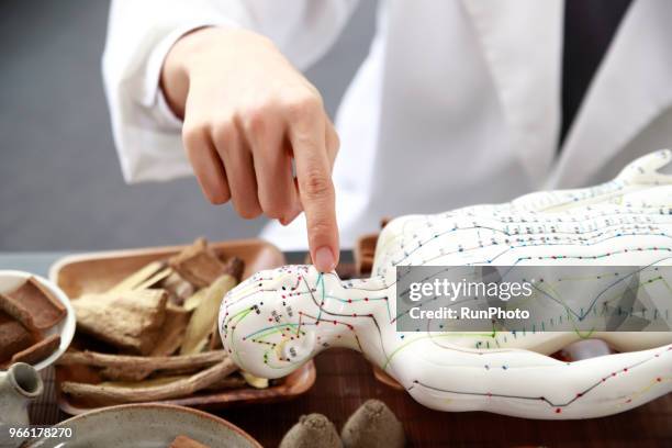 close up of acupuncturist pointing at acupuncture point on model - acupuncture model stock-fotos und bilder