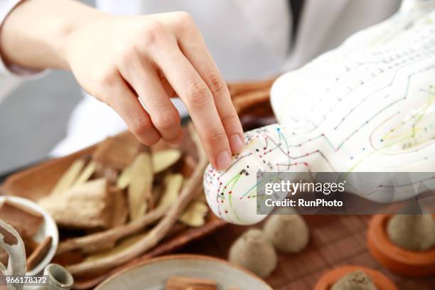 acupuncturist pointing at acupuncture point on model - accupunctuurpop stockfoto's en -beelden