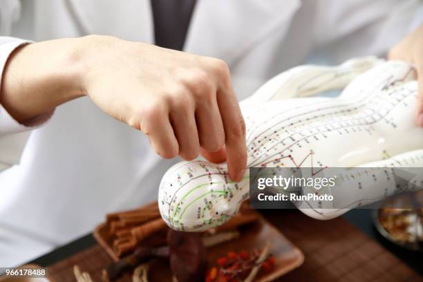 doctor pointing at acupuncture point on model - accupunctuurpop stockfoto's en -beelden