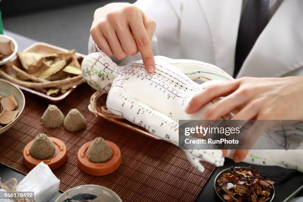 acupuncturist pointing at acupuncture point on model - anatomista fotografías e imágenes de stock