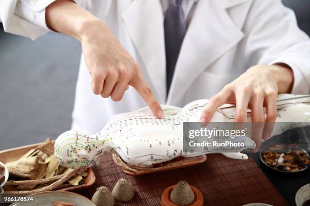 doctor pointing at acupuncture point on model - accupunctuurpop stockfoto's en -beelden