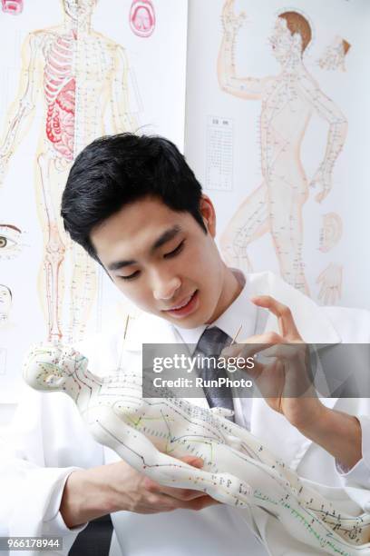 acupuncturist applying needles on acupuncture model - acupuncture model stock pictures, royalty-free photos & images