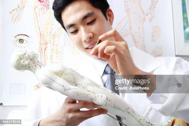 traditional chinese physician  applying needles on acupuncture model - acupuncture model stock pictures, royalty-free photos & images