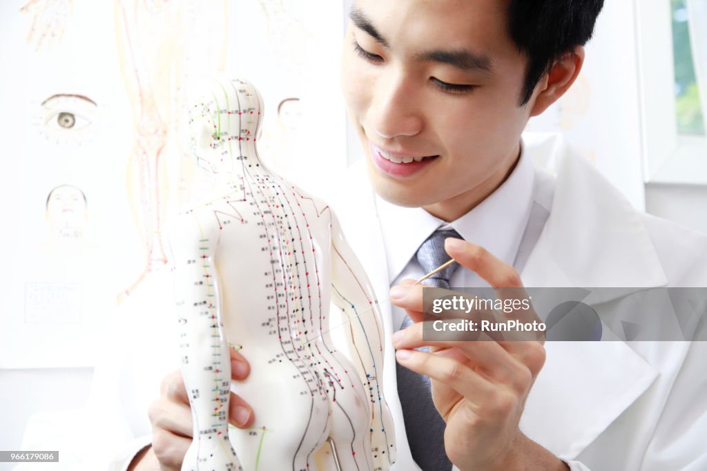 Acupuncturist applying needles on acupuncture model
