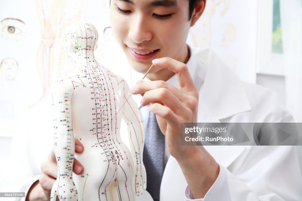 Acupuncturist applying needles on acupuncture model