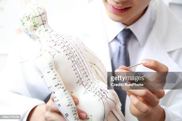 close up of doctor applying needles on acupuncture model - anatomista fotografías e imágenes de stock