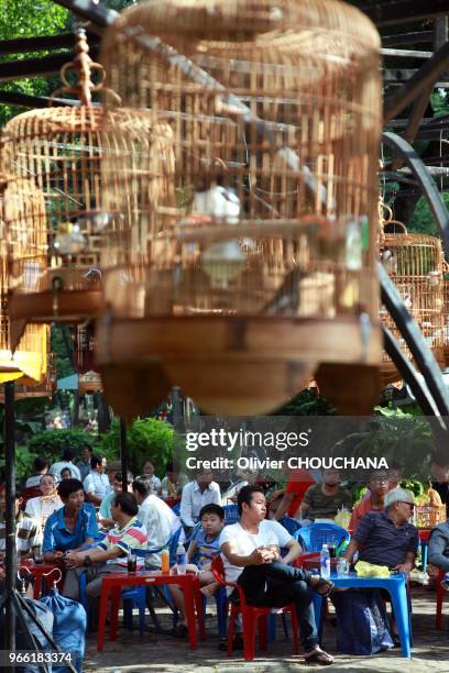 Des propriétaires d'oiseaux viennent suspendre leurs cages à oiseaux dans un café du parc de Tao dan pour écouter leurs oiseaux chanter tout en...