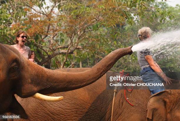 Touristes etrangers participant à une activite pour apprendre les bases du metier de Mahout au sein d' Anantara Elephant Camp resort en plein...