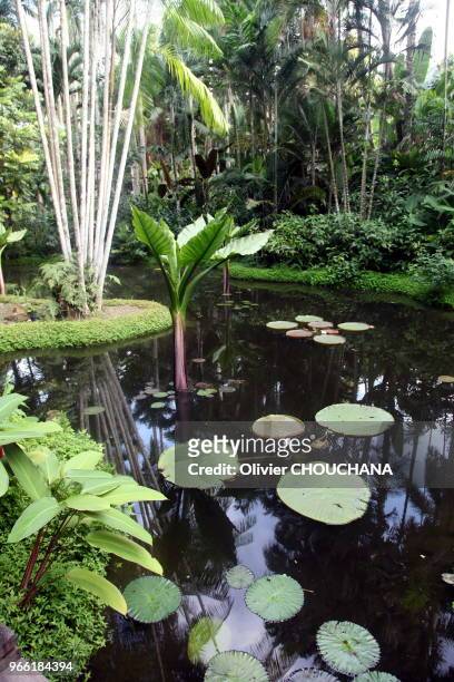 Scenes de vie au sein du celebre Jardin Botanique de la ville-etat de Singapour le 21 juin 2016, Singapour.