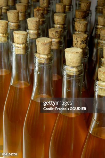 Bouteilles d'huile d'argan dans la coopérative Tissaliwine à Agadir en avril 2007, Maroc.