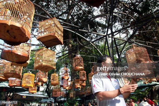 Des propriétaires d'oiseaux viennent suspendre leurs cages à oiseaux dans un café du parc de Tao dan pour écouter leurs oiseaux chanter tout en...