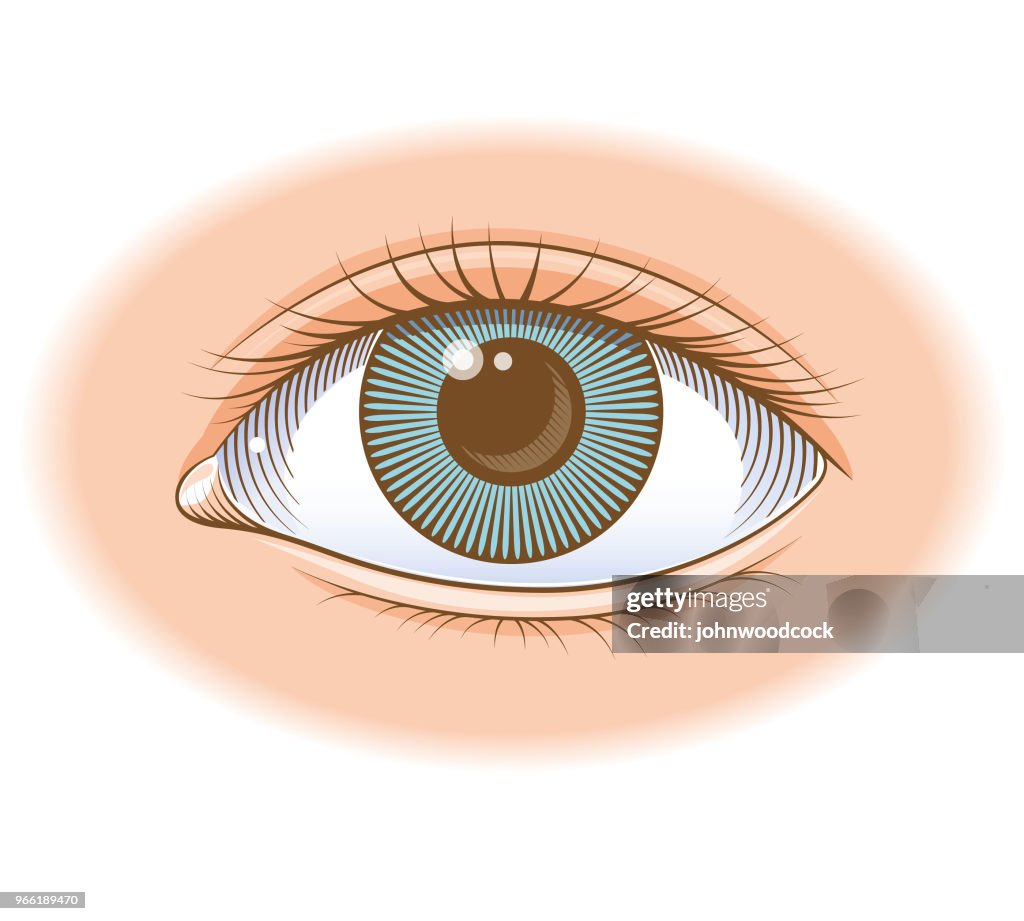 Coloured eye illustration
