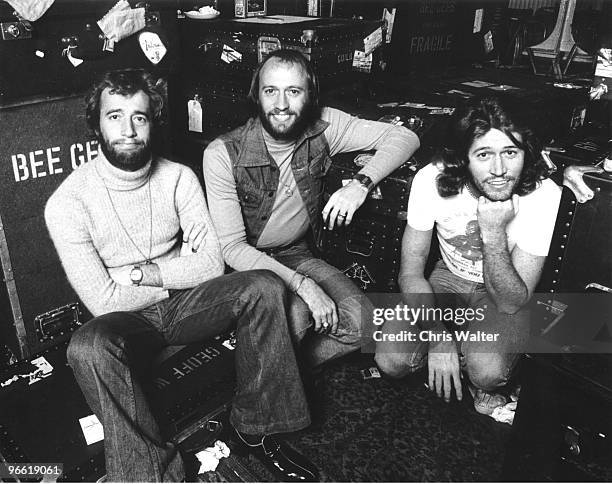 Bee Gees - Robin Gibb, Maurice Gibb, Barry Gibb