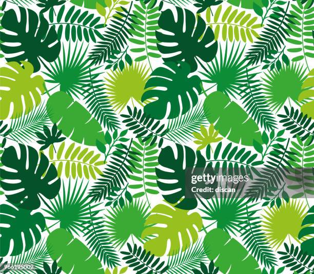 tropical leaf seamless pattern - monstera stock illustrations