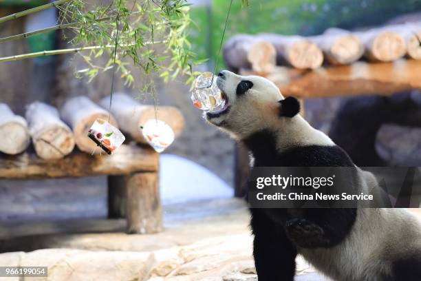 Children feed a giant panda a block of ice containing frozen fruit at Guangzhou Chimelong Safari Park on May 28, 2018 in Guangzhou, Guangdong...