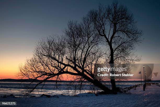 tenney park tree - lake mendota stock pictures, royalty-free photos & images