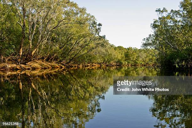 katherine river. northern territory. australia. - territorio del nord foto e immagini stock