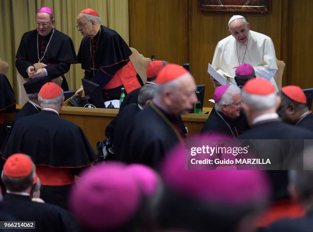 Le pape François a conclu le 18 octobre 2014 au Vatican un synode historique sur la famille, demandant aux évêques de trouver des solutions ouvertes...