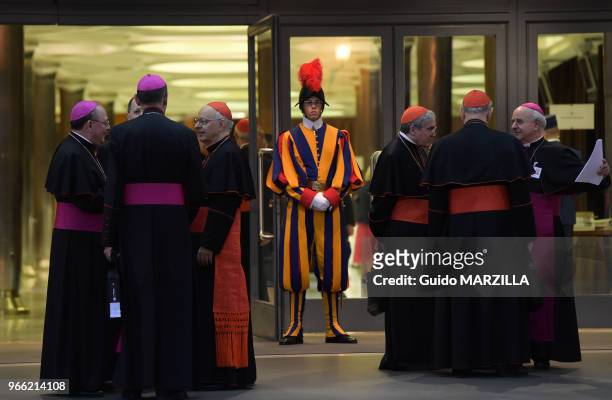 Le pape François a conclu le 18 octobre 2014 au Vatican un synode historique sur la famille, demandant aux évêques de trouver des solutions ouvertes...