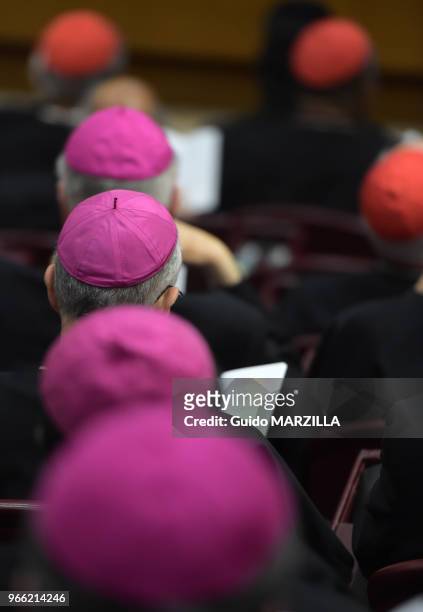 Le pape François a conclu le 18 octobre 2014 au Vatican un synode historique sur la famille, demandant aux évêques de trouver des solutions ouvertes...