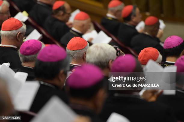 Le pape François a conclu le 18 octobre 2014 au Vatican un synode historique sur la famille, demandant aux évêques de trouver des solutions ouvertes...