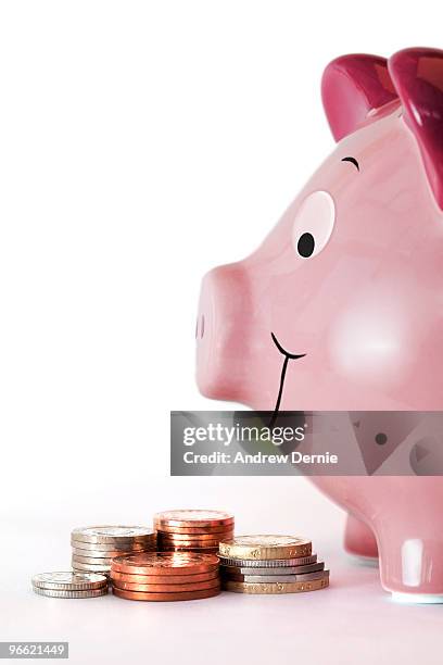 piggy bank - andrew dernie stock-fotos und bilder