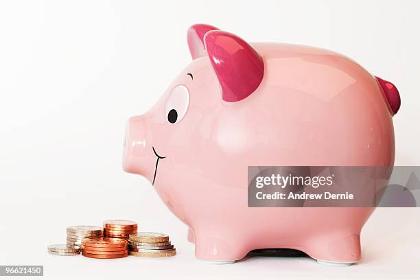 piggy bank - andrew dernie stock-fotos und bilder