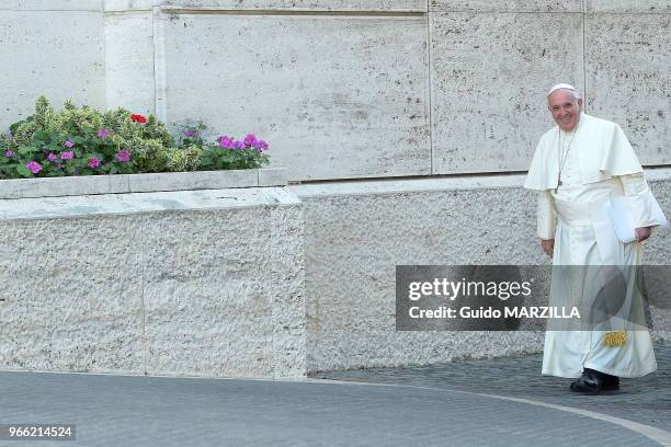 Le pape François a conclu le 18 octobre 2014 au Vatican un synode historique sur la famille, demandant aux évêques de trouver des solutions ouvertes...