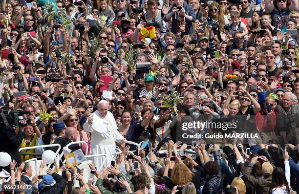 Le pape Francois célèbre la messe des Rameaux sur la place Saint-Pierre au Vatican le 13 avril 2014 qui marque le début de la semaine de Pâques,...