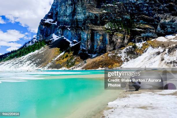 lake louise in winter, banff national park, canada - louise burton 個照片及圖片檔