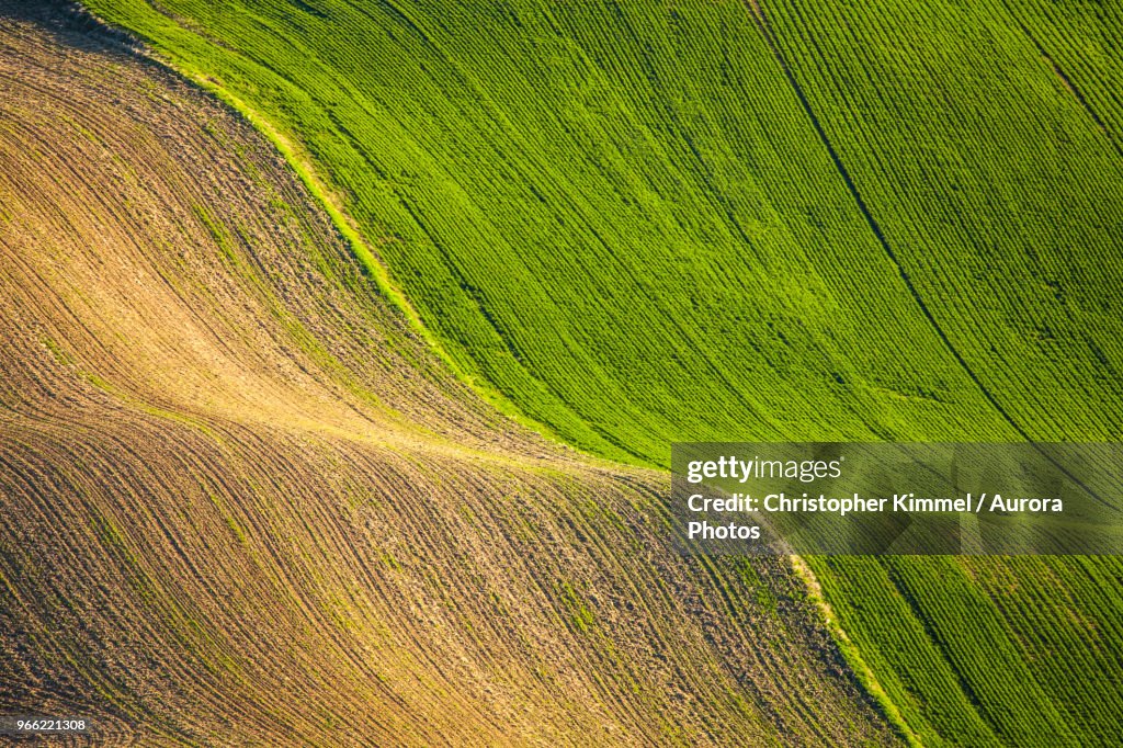 Scenery with fields on rolling hills, Steptoe Butte State Park, Palouse, Washington State, USA