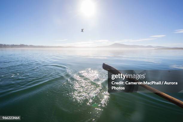 oar in waters of netarts bay, oregon, usa - netarts bay stock pictures, royalty-free photos & images