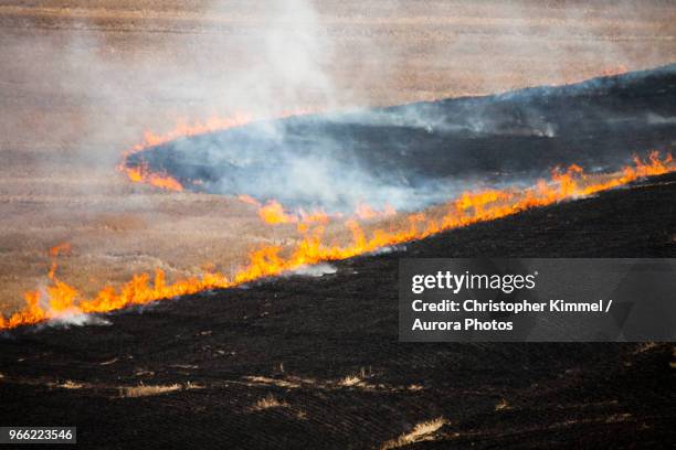 controlled agricultural burn, palouse, washington state, usa - controlled fire stockfoto's en -beelden