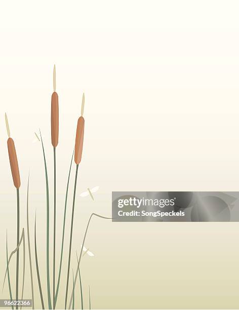 cattails and dragonflies background with copy space - dragon fly pattern stock illustrations