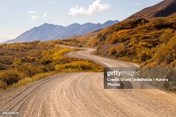 winding dirt road, denali national park, alaska, usa - landstraße stock-fotos und bilder
