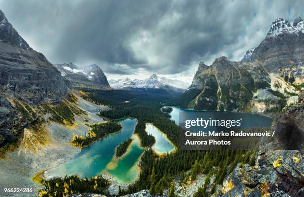 view of lake o hara and mountains, yoho national park, field, british columbia, canada - lago o'hara foto e immagini stock