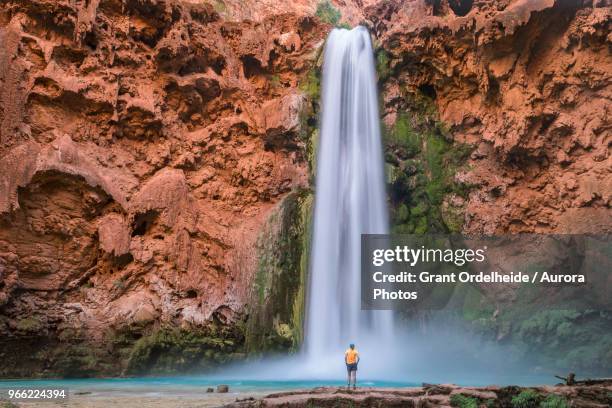 man standing below mooney falls, supai, arizona, usa - majestic waterfall stock pictures, royalty-free photos & images