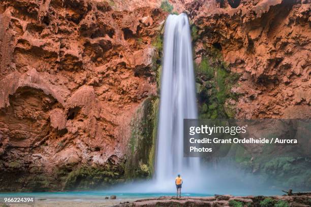 man standing below mooney falls, supai, arizona, usa - supai 個照片及圖片檔