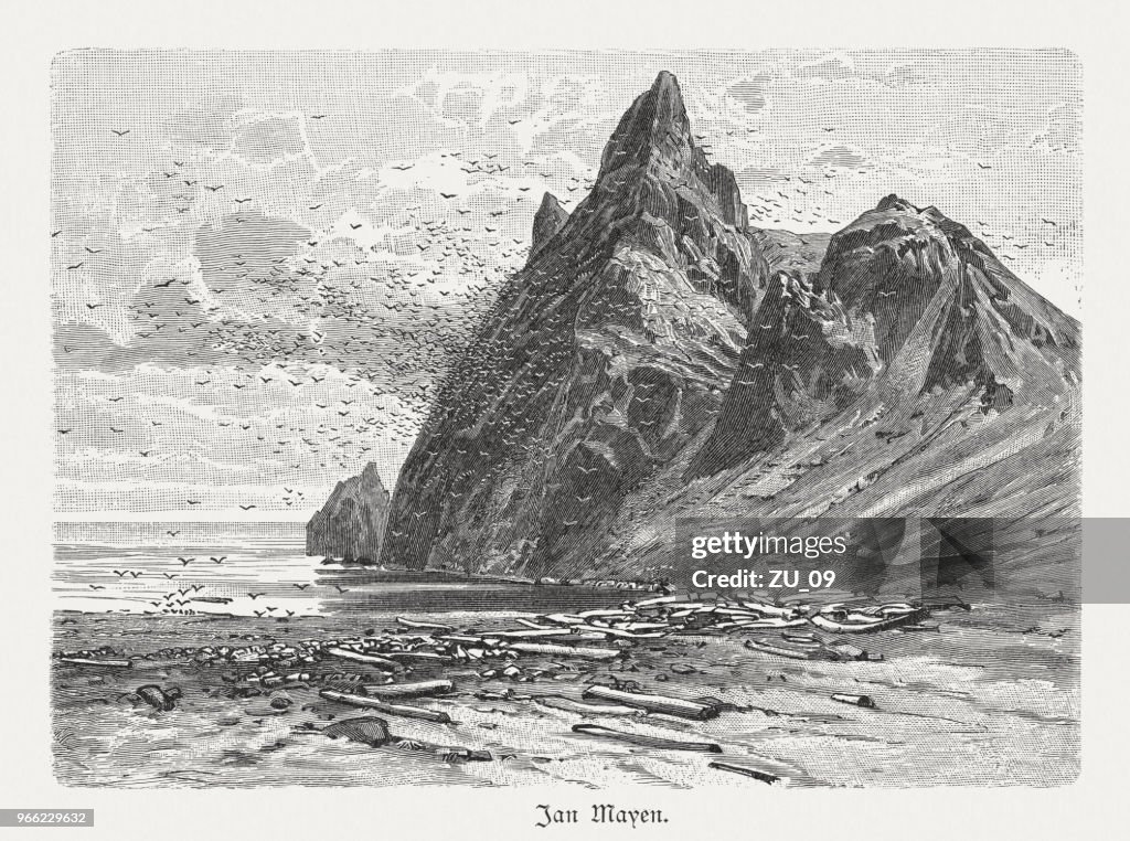 Mountain with bird colony on Jan Mayen, woodcut, published 1897