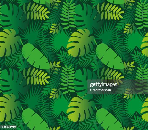 tropisches blatt nahtlose muster - tropisches muster stock-grafiken, -clipart, -cartoons und -symbole