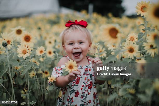 portrait of cheerful baby girl standing amidst sunflower field - babygirl stock pictures, royalty-free photos & images