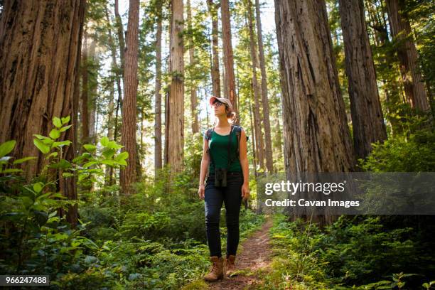 female hiker exploring forest at redwood national and state parks - redwood national park stock pictures, royalty-free photos & images