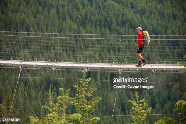 side view of hiker with backpack walking on footbridge amidst forest - bridge side view stock pictures, royalty-free photos & images