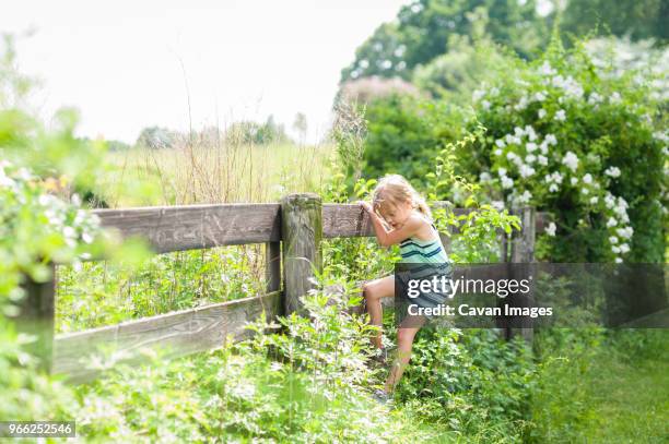 curious girl climbing wooden fence on sunny day - balancing child stock pictures, royalty-free photos & images