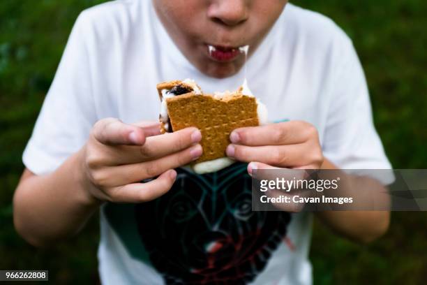 midsection of boy eating smore - smore stock-fotos und bilder
