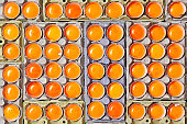 Egg yolks with a deferents colors over a egg cartons.