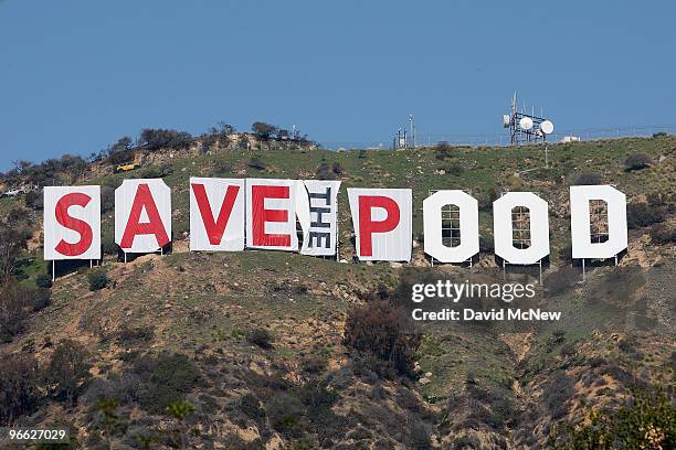 Activists continue covering the iconic 450-foot-long Hollywood sign with banners during an effort to prevent the building of houses there on February...