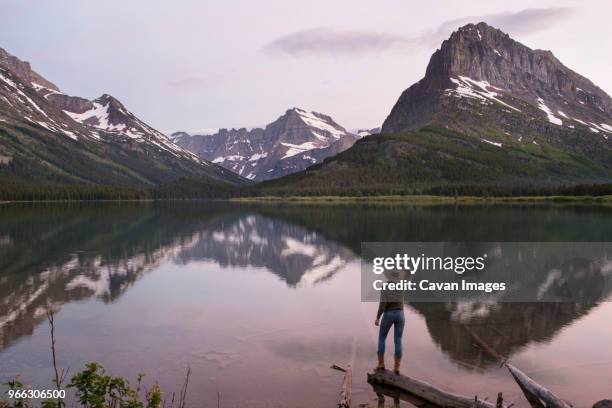 rear view of hiker looking at mt. grinnell while standing on wood by swiftcurrent lake - grinnell lake bildbanksfoton och bilder