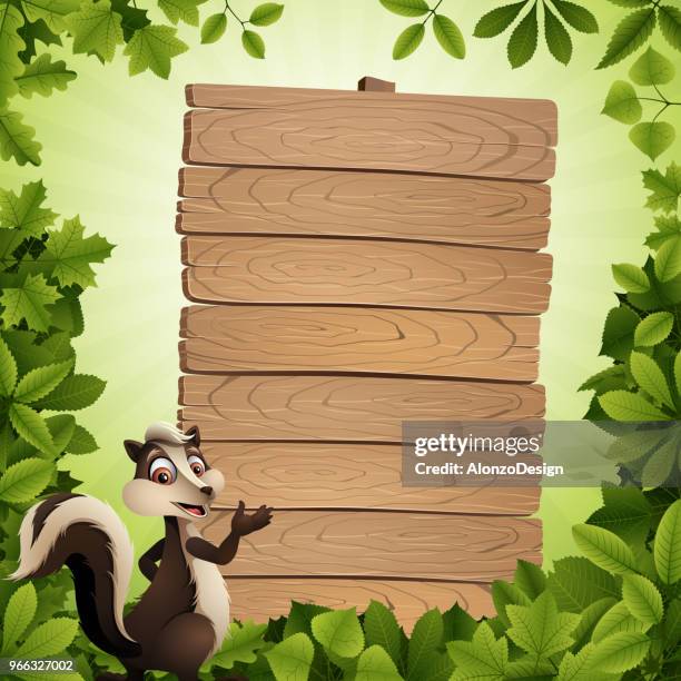 zoo badger - badger stock illustrations