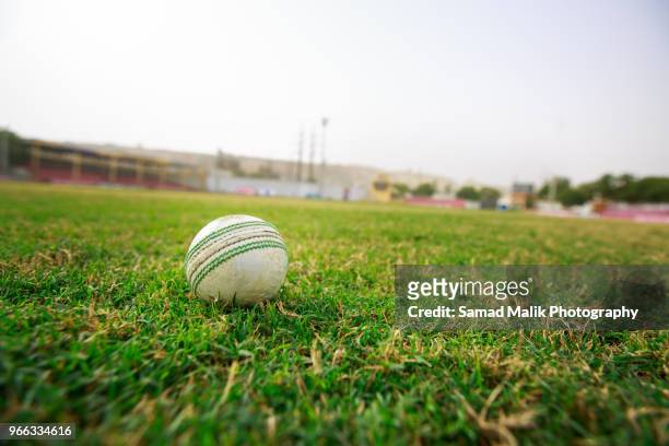 cricket ball - cricket stock pictures, royalty-free photos & images